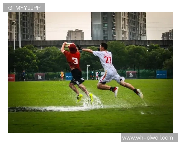 运动数据南京飞盘队的节奏与战术分析探索飞盘运动的魅力与团队协作