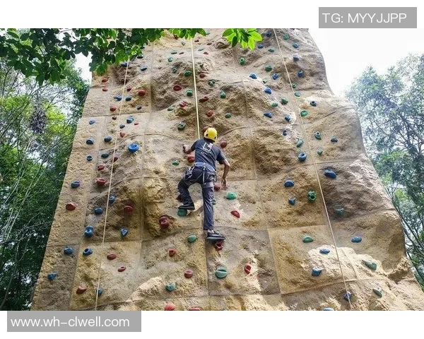 实时新闻攀岩新手必看从零基础到技术入门的全面攻略与实用技巧分享